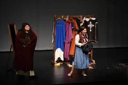 Sivilja in skarjice 27